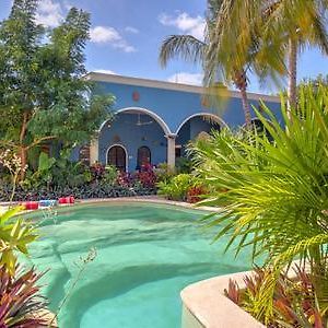 Casa 411